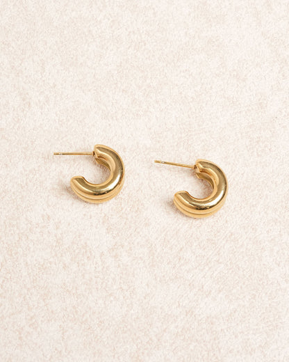 Gold Metal Earrings